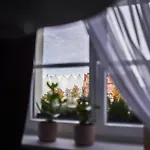 Lägenhet Profesorskie