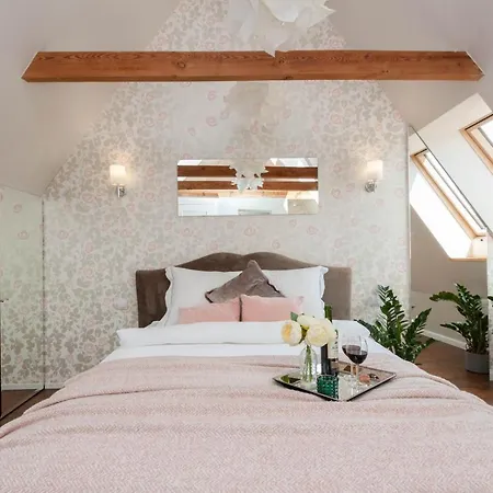 Profesorskie * Stettino