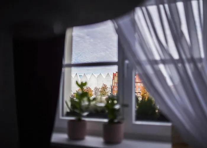 Apartment Profesorskie